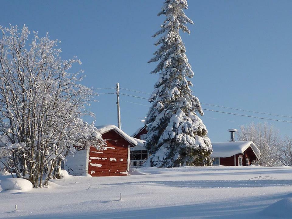 Vila Loma Rinteelae Suonenvaara Exteriér fotografie